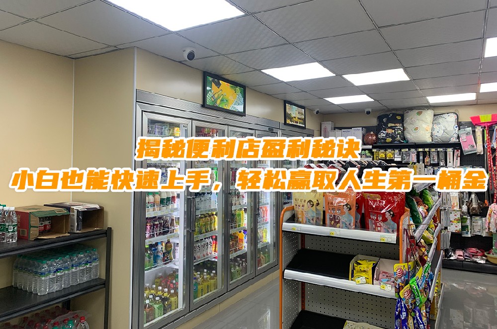 揭秘便利店盈利秘诀：小白也能快速上手，轻松赢取人生第一桶金.jpg